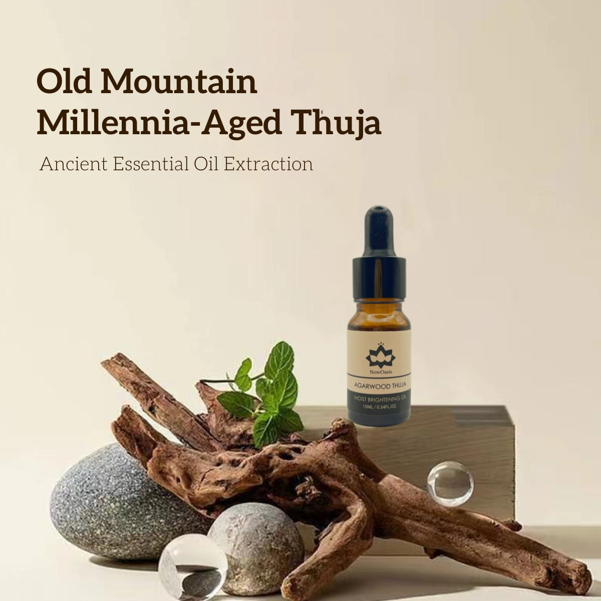 Agarwood Thuja Moist Brightening Oil